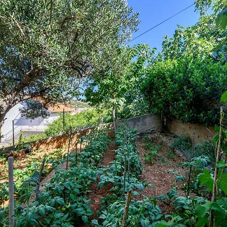 Apartment Kardum Sibenik